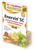 ENERVIN SC