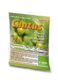 CANTUS